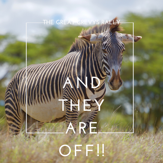 GrevysRally's tweet photo. AND THEY ARE OFF!!!! Over 150 teams have spread out across Laikipia, Samburu and Isiolo counties to help us count the endangered Grevy's. #GGR2020 #greatgrevysrally https://t.co/4eQD7kh4LB