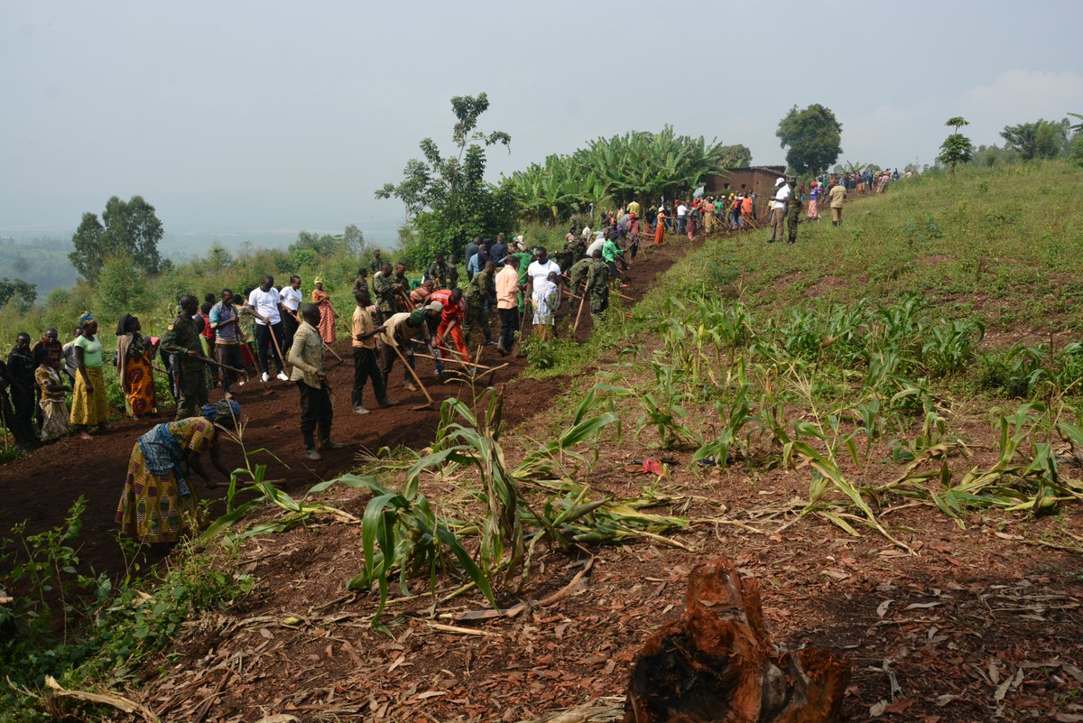 ConsortRwanda's tweet photo. Consort Rwanda yifatanyije n'abaturage bo mu murenge wa Musenyi mugikorwa cy'umuganda. @BugeseraDistr @MoHRwanda @RwandaGov https://t.co/bNKJzydhrX