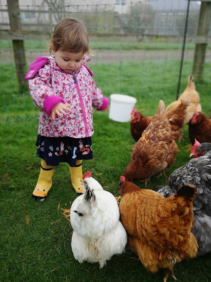 PoleRueFarm's tweet photo. Why not spend this February half term in Somerset?
With llamas and chickens to greet you each morning, fossil hunting on the Jurassic Coast and plenty of great days out for all the family nearby, Pole Rue Farm Cottages are the perfect place to stay. 🦙🐓🌷🌳🌊🐾 https://t.co/PX7nfEbD0H