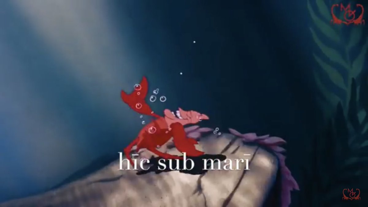 tutubuslatinus's tweet photo. This is wonderfull. The Little Mermaid’s Under the Sea in Latin. https://t.co/FghwNSZmmM https://t.co/gkts66VeN8