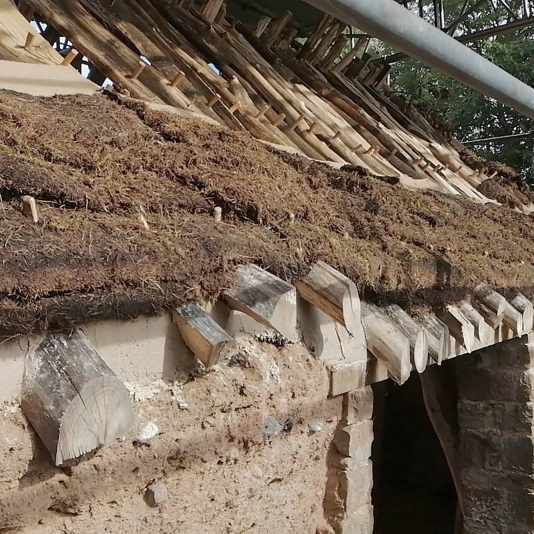 archaeobuild's tweet photo. Working with #turf, #clay and #straw in South #Scotland. A stapple, or stob #thatch, typcal of the Solway area and ambitiously built from scratch with support from @HistEnvScot. #vernaculararchitecture #naturalbuilding #earthbuilding #cob #mudwall #craftsmanship #archaeobased https://t.co/NnKarXV3M6