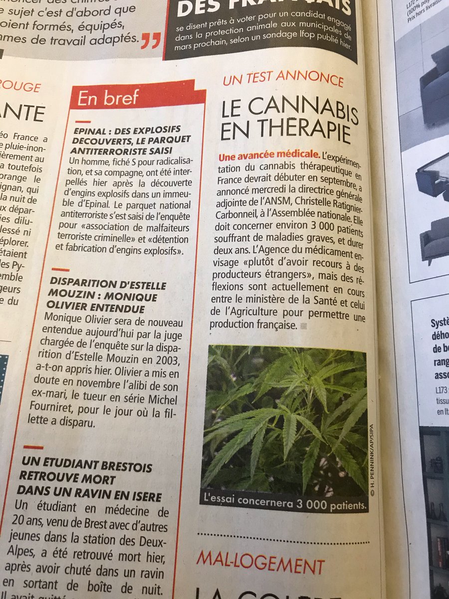 フランスでは9月から重病の患者3000人への大麻セラピーの試験が始まります。

現状だと外国産の大麻を買うことになるので、フランス産の大麻の生産を認める協議を厚生大臣と農産大臣が始める模様。

縄文時代の人達ですら大麻は作れてたので、外国産を仕入れるのはアホらしいんだろうなぁ、、、と。