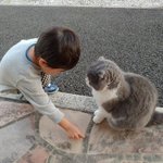 保育園に通うお子さんが飼猫に、保育園に迎えに来て欲しいから道のりを教えているｗ猫も真剣に聞いている!