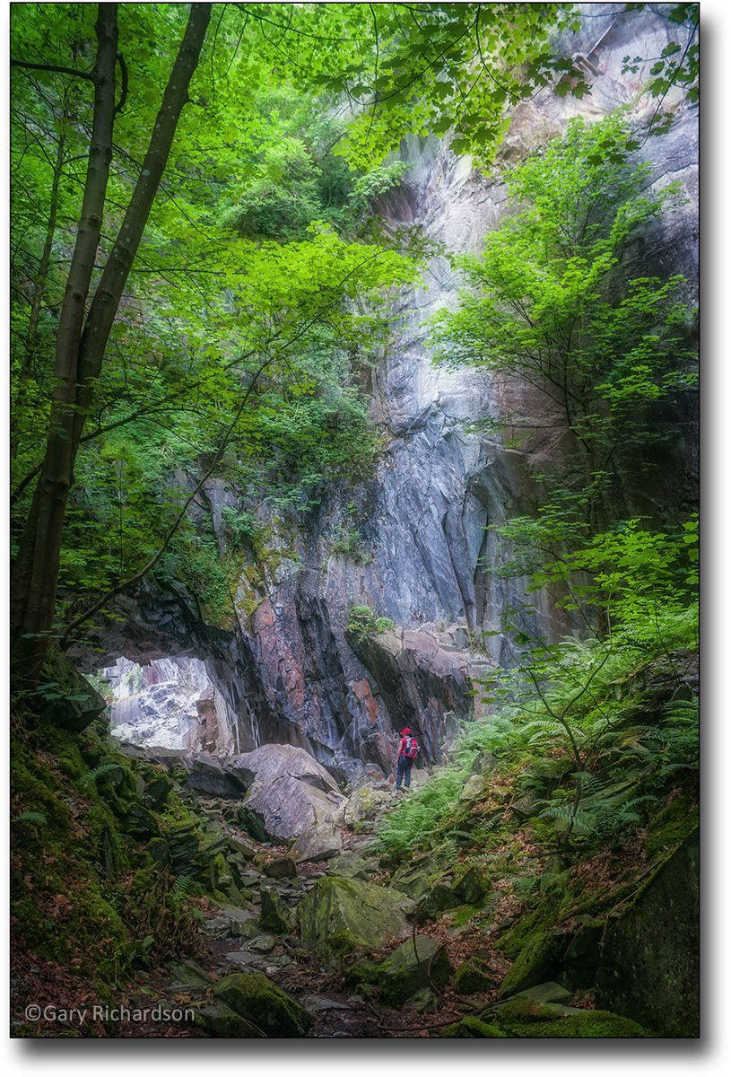 mountainsandsky's tweet photo. #SaturdayVibes when nature reclaims human quarrying #hodgeclose #lakedistrict @keswickbootco @glocky9 @JacobMcAtear @LakelandWalker @WalksBritain @cumbriapictures @CumbrianRambler @herdwick_gal @AW_archivist @Mounta1n_Mike @diagonalwalking #getoutside #photographyeveryday https://t.co/FR9gbwUwEc