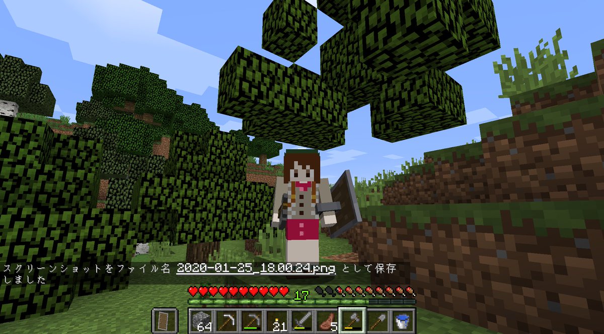 ユウ マイクラ始めました 今更 前はmodバンバン入れてやってましたが今回はバニラ スキンはこちら から借りました マイクラスキン ポケモン剣盾 女主人公 くしゃりあ さんのイラスト Nicoseiga Im T Co 62tbzfjwnx T