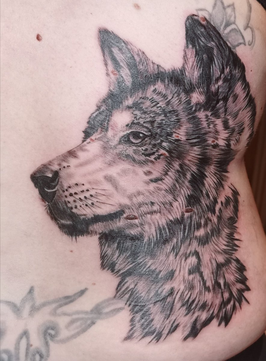 Fru00255048's tweet photo. Start of a Backpiece includes some Cover Up parts. After 3 hours she couldn't take any more pain, so we have to do some details next time
#FruTattoo #Tattoo #BlackAndGrey #AnimalPortrait #Wolf #WolfPortrait #Inksiders #InksidersGermany #ILoveMyJob https://t.co/vHTHRK3si1