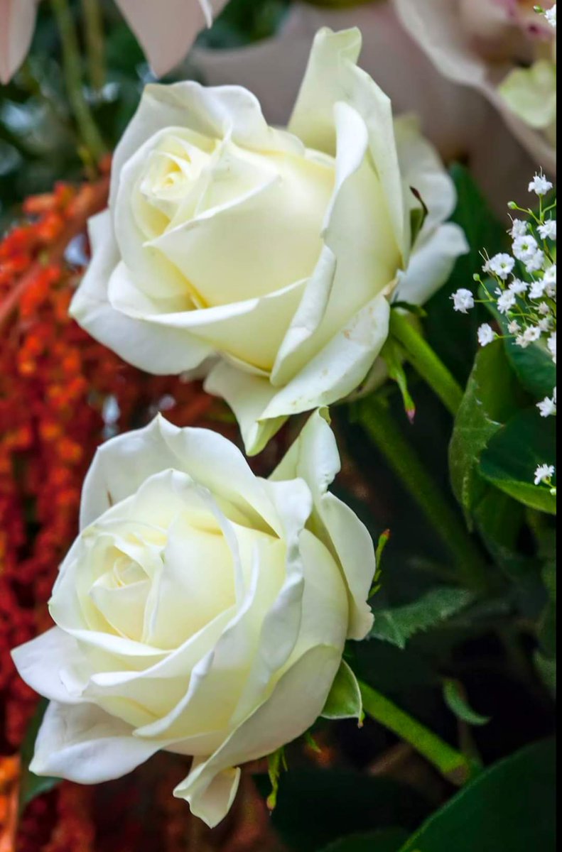 amordivino20131's tweet image. @marie_nassar 
#beautifulWeekEnd