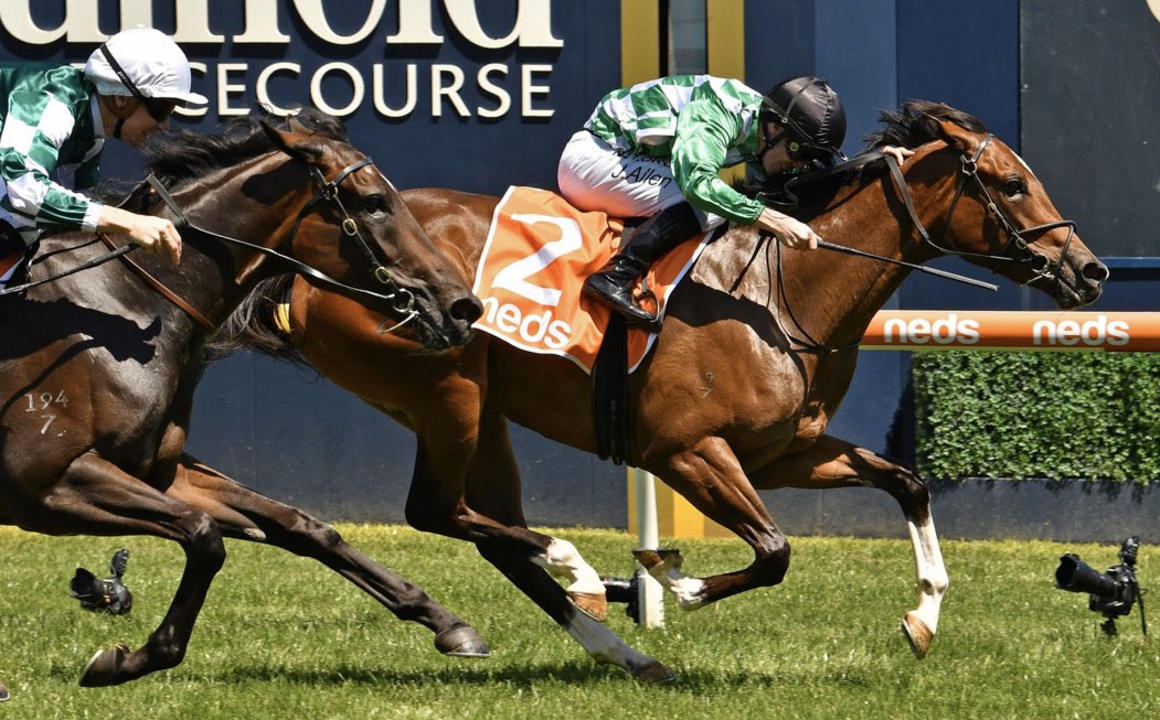 Martin_Larkin's tweet photo. First Southern-Hemisphere bred Group winner for @DarleyEurope #NightofThunder 🇮🇪 in #ABeautifulNight winning the G3 Blue Diamond Preview🇦🇺 https://t.co/2cvlnhwrBS