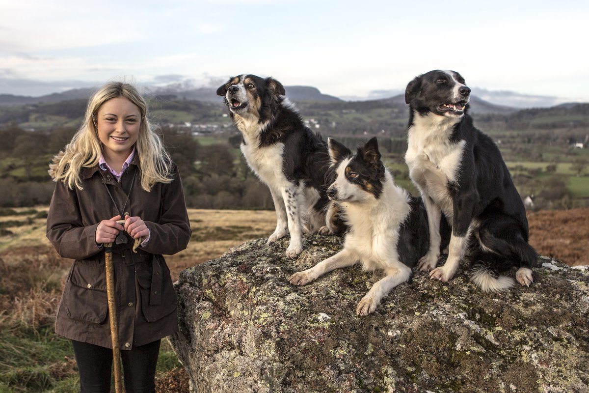 Erin Fflur McNaught tweet media