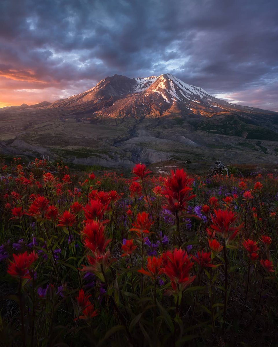 'Mount St Helens, Skamania County, Washington. From u/Zordack on /r/mostbeautiful #mountsthelens #skamaniacounty #washington #mostbeautiful'