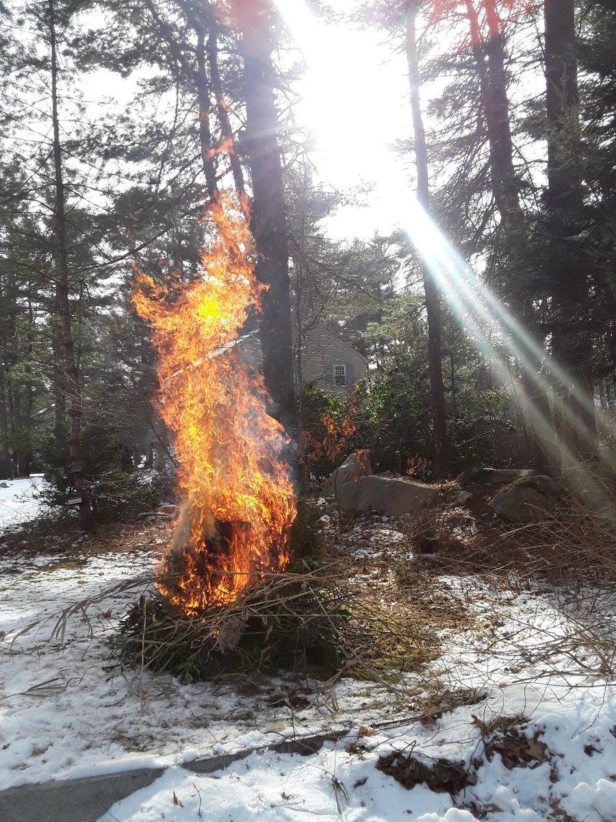 Fire I had the other day....I love watching Christmas trees burn...