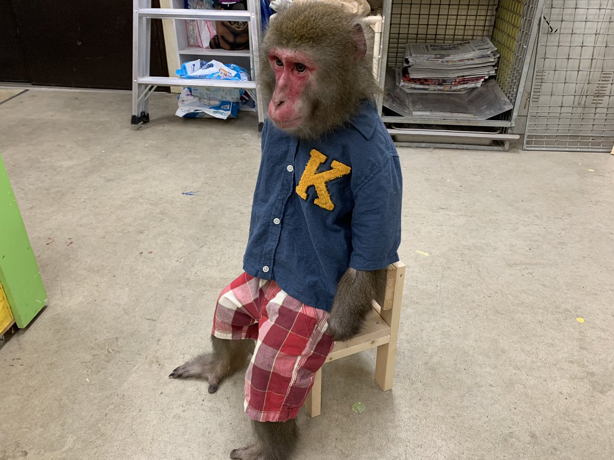 EPHcN86U4AAWgRv.jpg?format=jpg