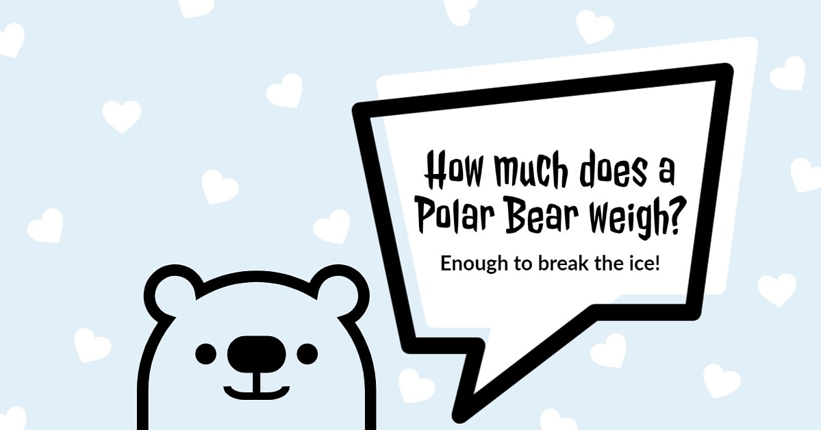 Break the ice and get in touch with us at Polar Bear Prep for all your test-prep needs!

#sat #sat2 #testprep #islamabad #tuition #ielts #gre #tuitioncenter #studyabroad #pakistan #education