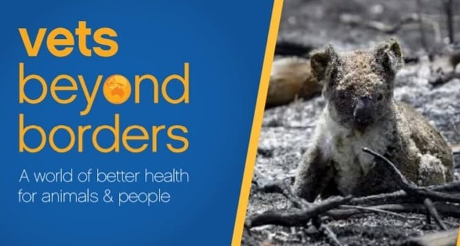 Protect_Wldlife's tweet photo. PLS RT: If you buy a Badge, Brooch, Car Sticker, Tote Bag or Conservation Pack this weekend ALL of the proceeds go to help #VetsBeyondBorders treat animals affected by the #AustralianFires.
Available at https://t.co/hGdatZwebx
#AustraliaIsOnFire #AustralianBushfiresDisaster https://t.co/T1Twzty8Bg