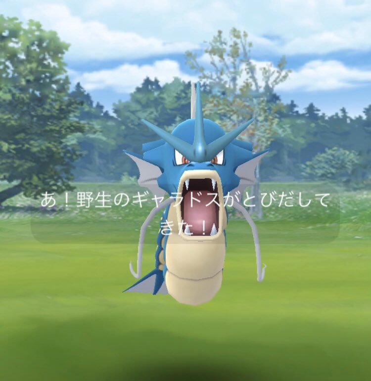 野生ギャラドス