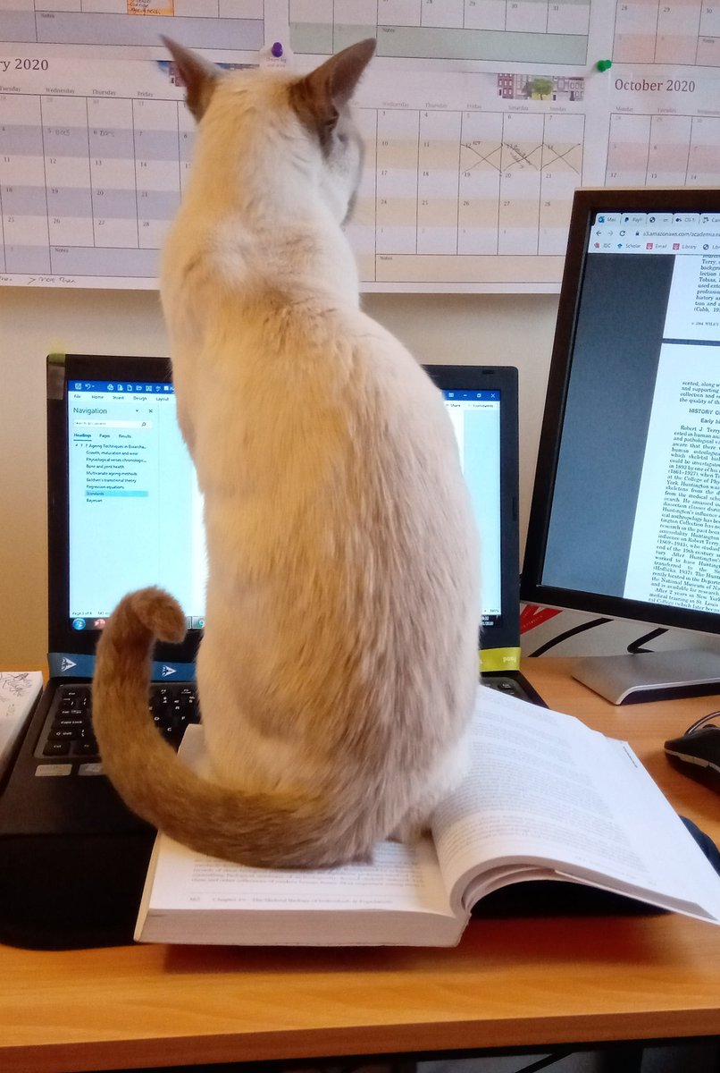 sh_mills's tweet photo. The perils of writing up a PhD.. #phdlife #osteo #senescence https://t.co/psMWL13O3q