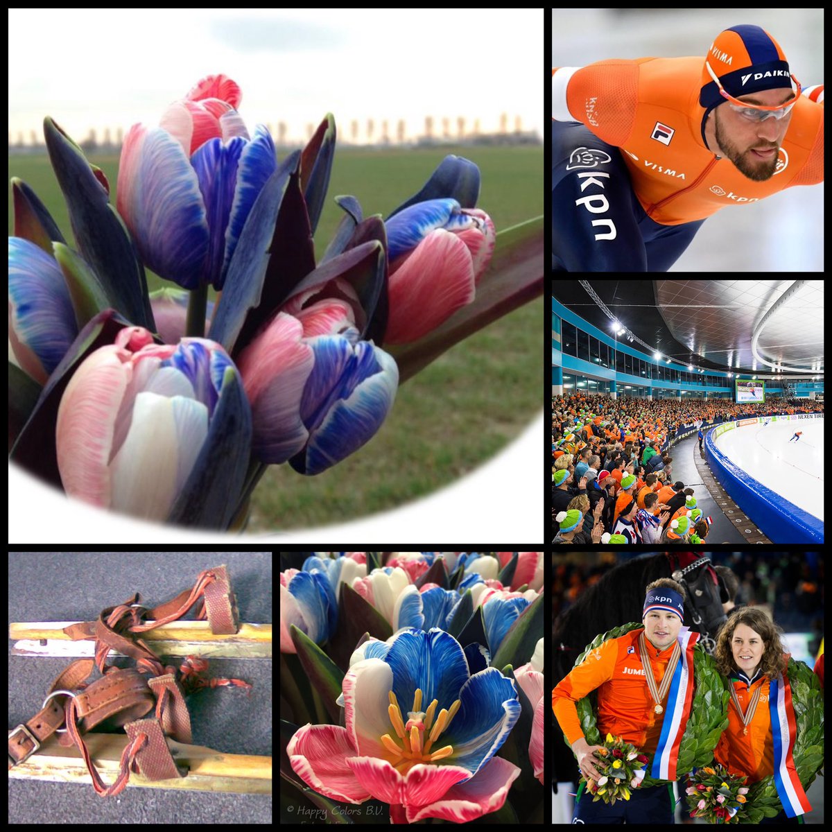 HOLLANDSE tulpen in Thialf. Goede promotie van het Nederlandse product!!!!