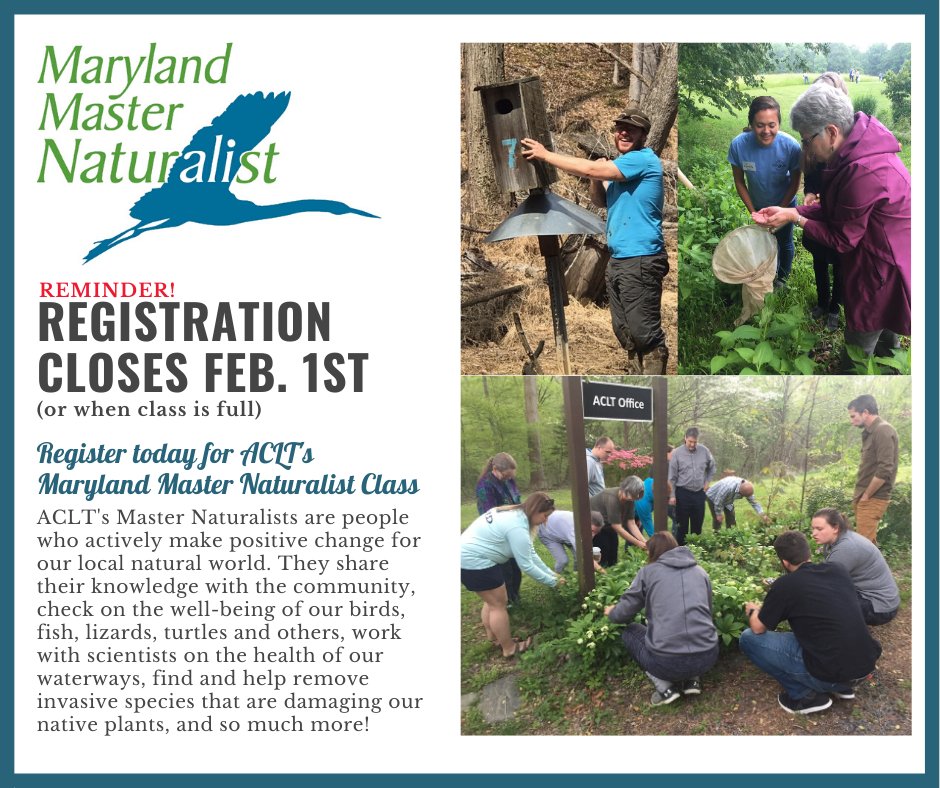 American Chestnut Land Trust tweet media