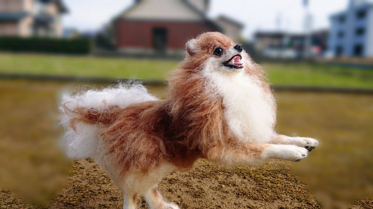 正男 おりも混じりの青組 ランランラン 羊毛フェルト犬工房fafaプードル 羊毛フェルト ポメラニアン 飛行犬