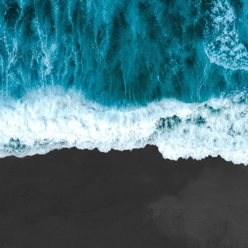 Do you ever get mesmerized by waves crashing forward while creating beautiful movements? 

#420life #indica #cannabiscommunity #sookebc #sooke #victoriabc #bluegrass #ganja 
#EnjoyGrowingFaster #FastBuds #AmericanAutoflowers #autoflowers #highsociety #kush