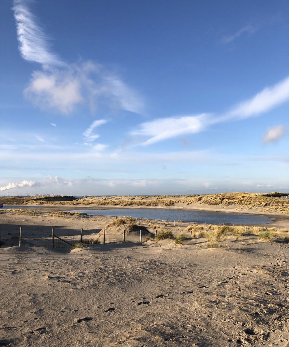 Mooie wandeltochten door de duinen! <a href="/DZK_Westland/">De Zee Kust WESTLAND</a> <a href="/Vlugtenburg/">Vlugtenburg</a>