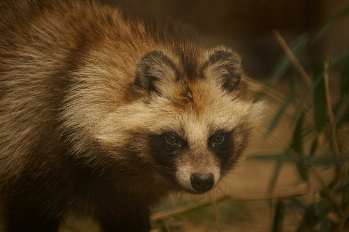 まさきよ Min T ミント まさきよ Min T ミント