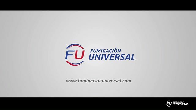 Fumigación Universal on Twitter: "¡No permitas que empresas fumigacion piratas amenacen tu bienestar y el de los tuyos! . común encontrar empresas que ofrecen servicios de fumigación a costo bajo,