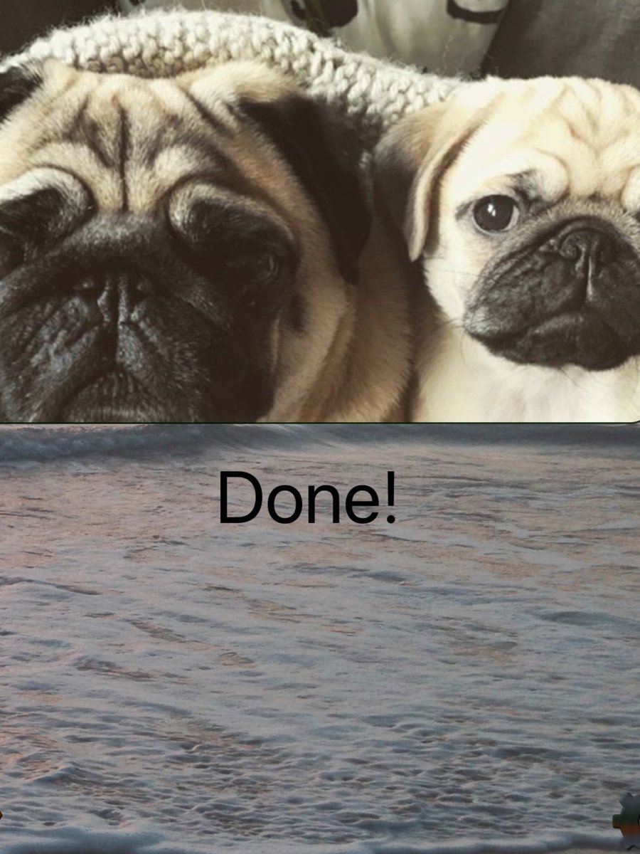 Well that’s it I have officially retired 😳No more walk rounds and next steps 🤣. I have had a great career with Tesco but now it’s time for me and the next chapter. The send off I had yesterday was amazing thank you to everyone who sent me messages and gifts😁Life starts now.