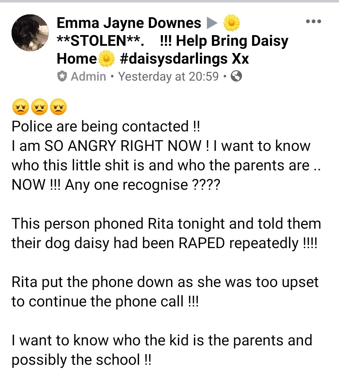 MissingPetsGB's tweet photo. Hi. Please note someone has been making horrific phone calls to owners of missing pets this week. Please please if you get a call, hang up, stay calm, WhatsApp the number-you should see this pic of this child come up👇&amp; call police asap, &amp; let stolen@doglost.co.uk know😔 https://t.co/q4NiZgOLrd