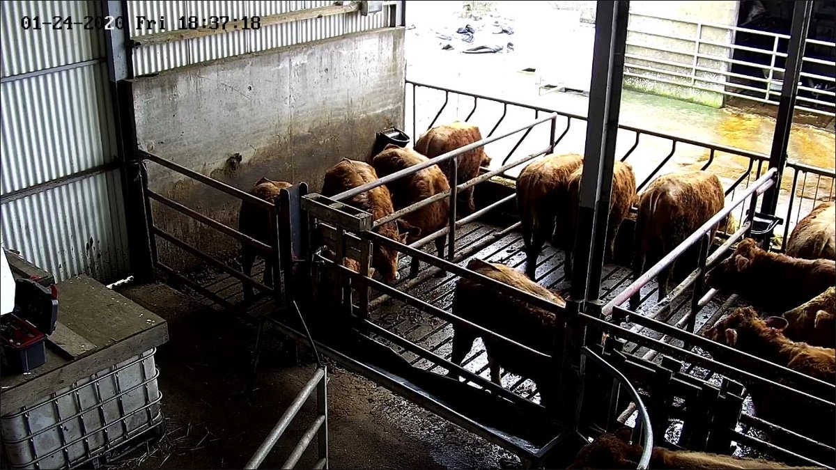 dmp_electrical's tweet photo. PTZ calving camera fitted this week
https://t.co/emziALy2pF https://t.co/mJyNiSrD1G