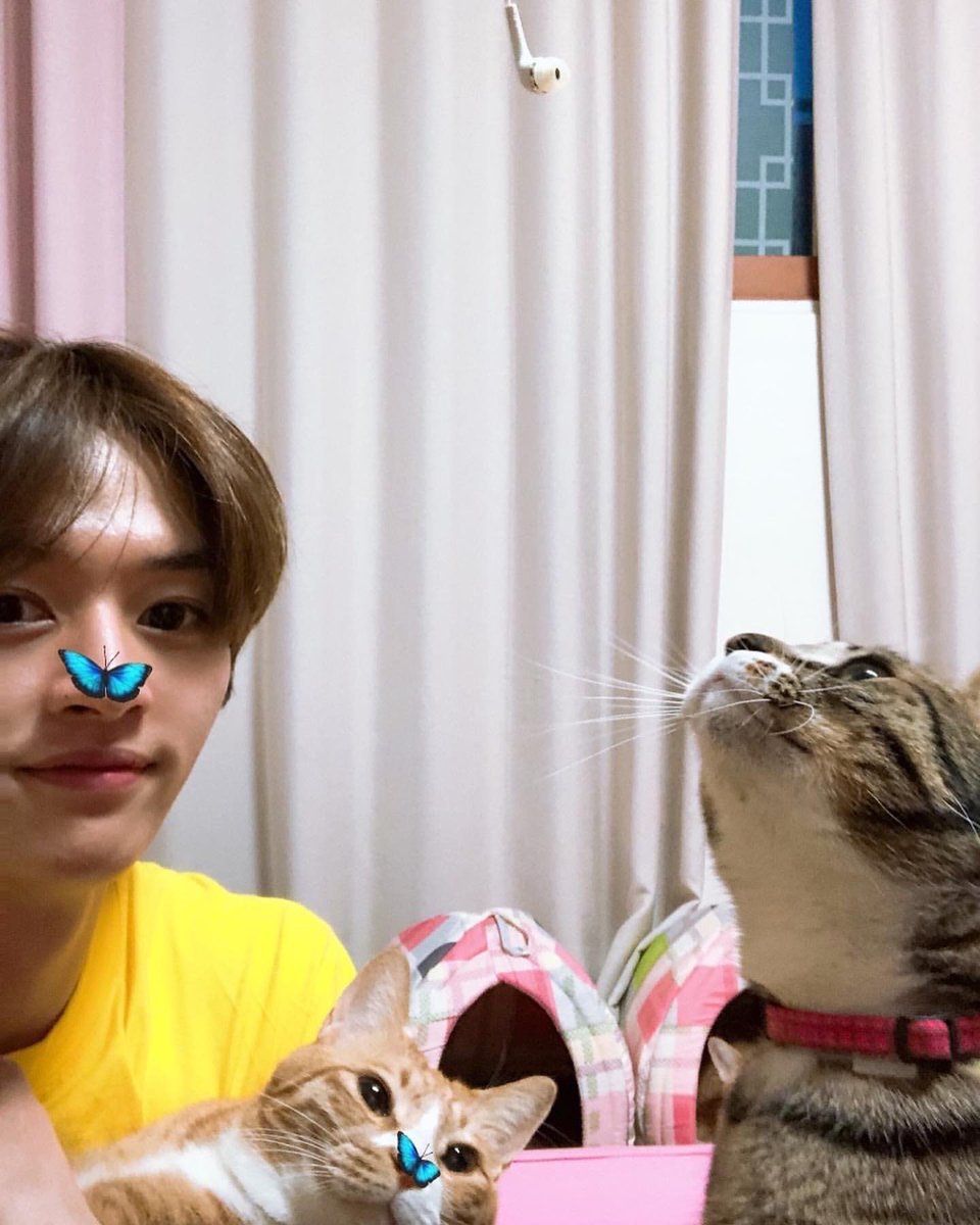— day 25 i was really productive today!! i also managed to nap <3 i updated a lot and i got uni stuff done!! this day was better than all the rest of this week combined fhdkfkf anyway you look like you’re having fun on your vacation and i’m glad!! rest lots and take care ily 