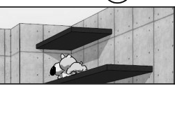 최애컷 (어? 