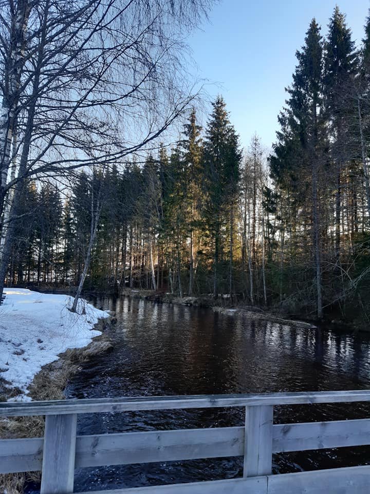 Dilyanka4's tweet photo. #foto #tree #tree #blue #water #fotography https://t.co/rJb8xdEtx3