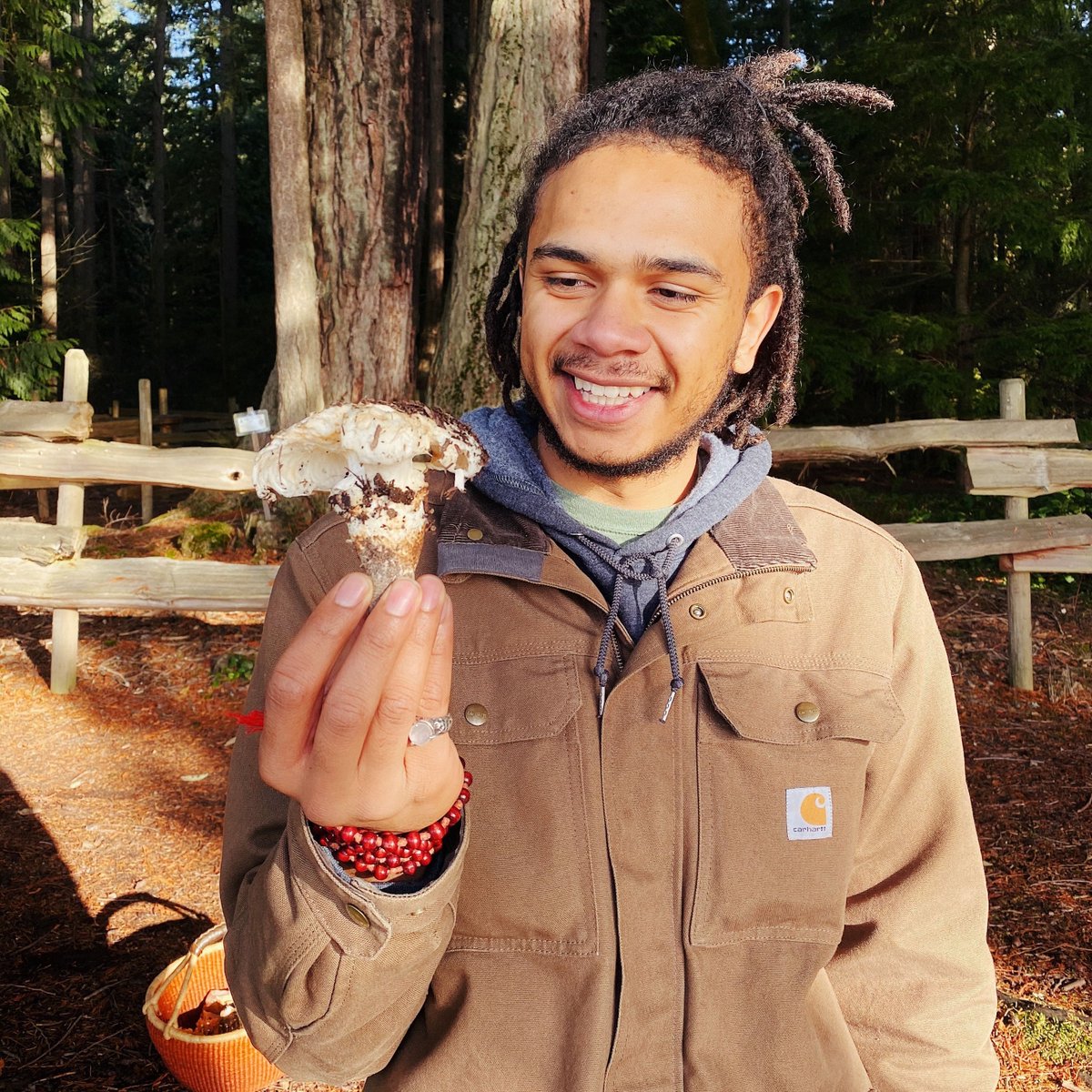 The Hoot (@homeofthehoot) on Twitter photo We're honored to present @fantasticfungi—a visually beautiful film exploring the past, present, and future of mushrooms. 🍄 We'll be joined by <a href="/MycoSymbiote/">William Padilla-Brown</a> for a discussion of cutting-edge 'shroom research. All Friday evening at the #WinterHoot: hoot.love/tickets We're honored to present @fantasticfungi—a visually beautiful film exploring the past, present, and future of mushrooms. 🍄 We'll be joined by <a href="/MycoSymbiote/">William Padilla-Brown</a> for a discussion of cutting-edge 'shroom research. All Friday evening at the #WinterHoot: hoot.love/tickets