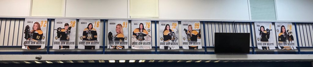 SCSGirlsHockey's tweet photo. We celebrate our #seniors2020 tonight before our @SCS19U game against the @AAHL_arrows at 8:00 p.m. Thanks to @BaierlIce for hanging our new banners!
#123Selects https://t.co/enl9dewD3C