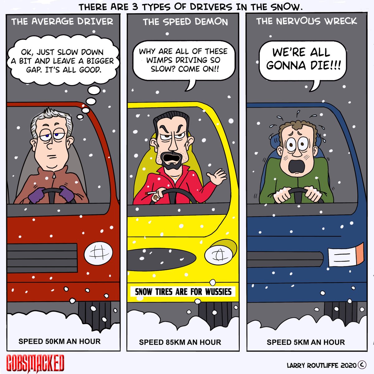 LarryRoutliffe's tweet photo. #WinterIsHere #winter #winterdriving #winterdrivingsucks #snow #baddriver #whoslaneisitanyways #Canadian #snowdriving #speeddemon #nervousdriver #webcomic https://t.co/eCns6jTt9I