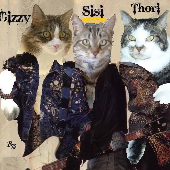 marillion13's tweet photo. Gizzy, Thori and lil Angel Sisi, da second hand kittehz (my cats on Facepoop) & me´ll go offline for supper & for my daily osteoporosis gyms, if no technical problem/s´ll appear we´ll be back later!!!
😽😽😽💖💖💖
#CatsOfFacebook #CatsOfTwitter #Catallica #Caturday https://t.co/MqGAp9OXP5