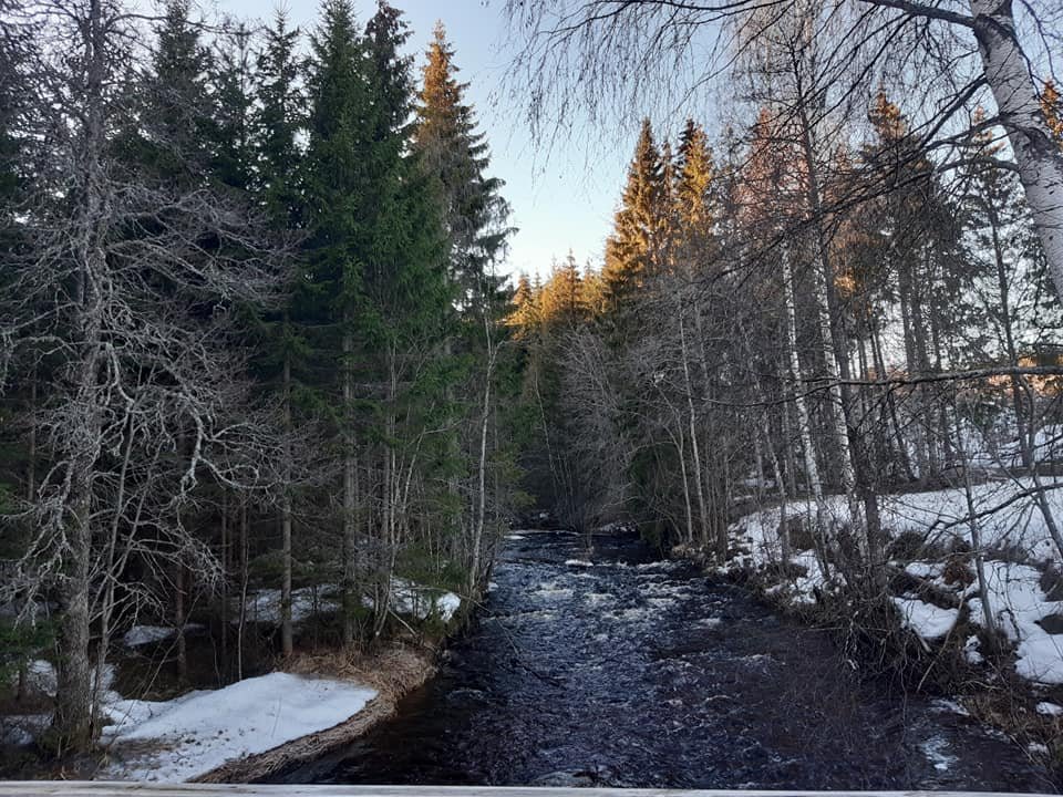 Dilyanka4's tweet photo. #foto #fotography #blue #water #forest https://t.co/3VbL6DtEKh
