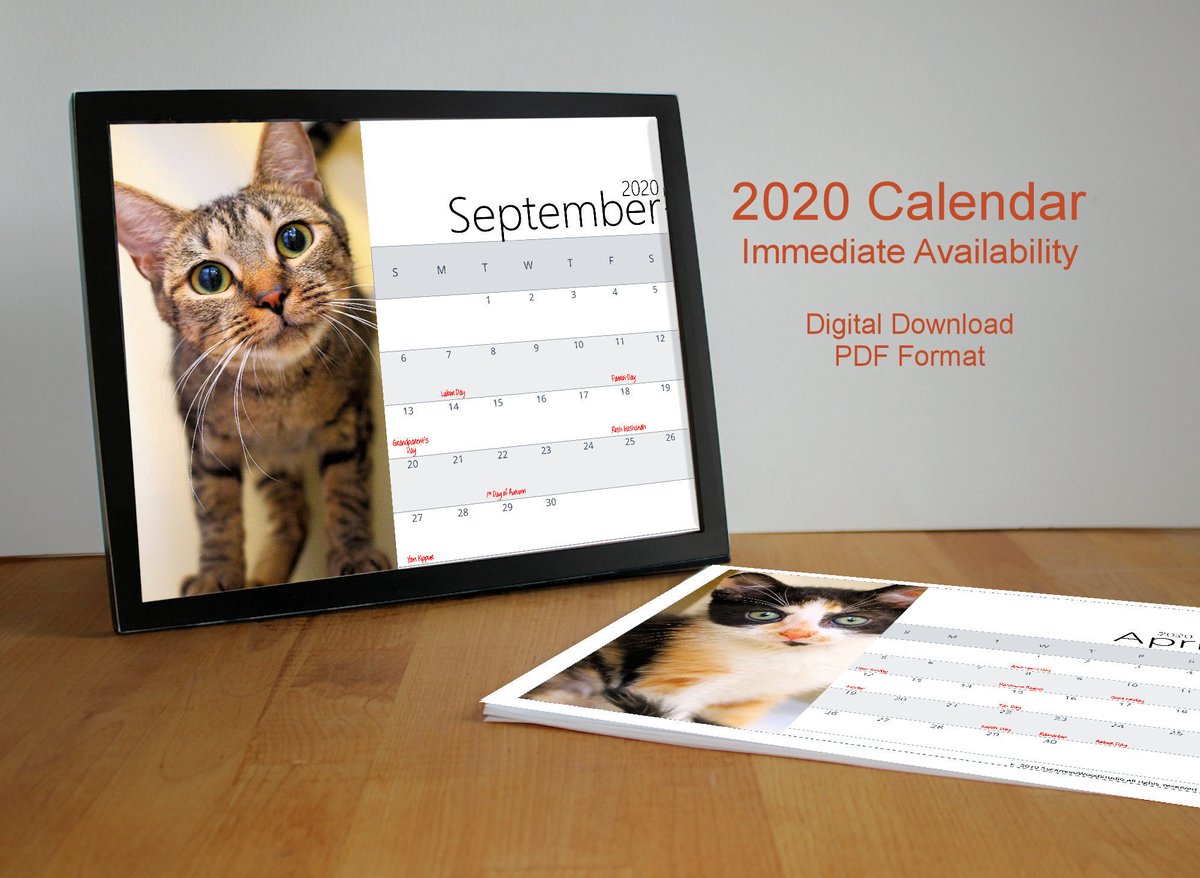 LisSycamoreWood's tweet photo. 2020 CALENDAR #PRINTABLE #Cats Monthly Photo #Calendars2020 #Home #Office #AnimalLover #PetSitting #Tabby https://t.co/knpUr72RMj #etsy #EtsyTeamUnity #KISTeam #SycamoreWoodStudio https://t.co/oqGK7cQdS6