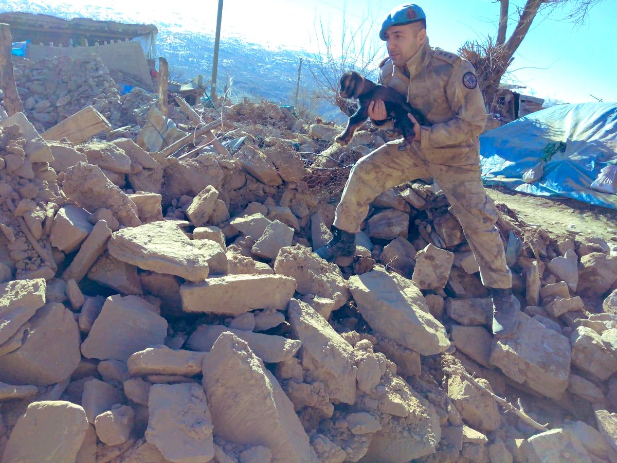 Cümle alem bir can imiş...

Dağların aslanı
Elazığ’ın kuzusunu kurtarırken