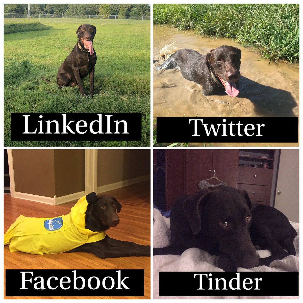 Ryan Luttrell (@luttrell_ryan) on Twitter photo 