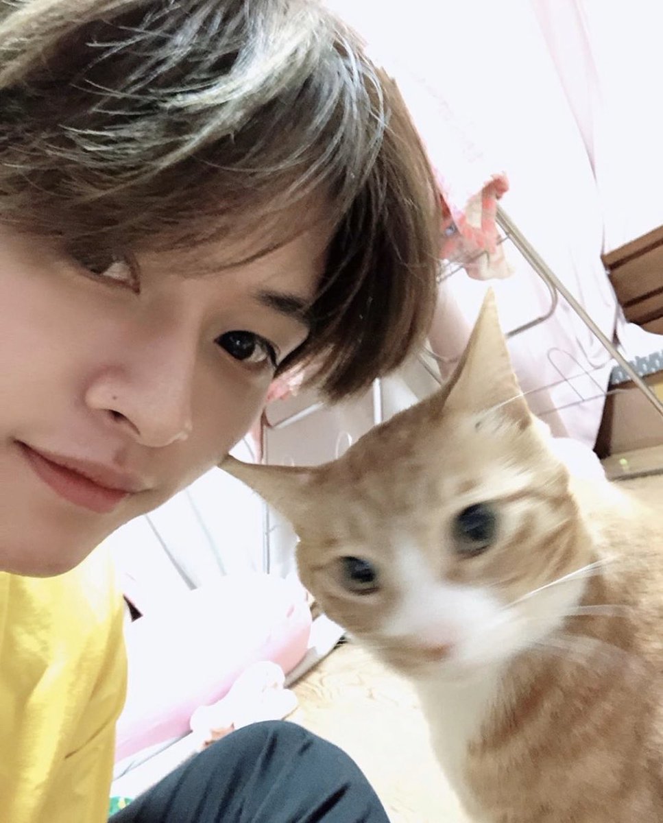 HANJAEBAYBEE's tweet photo. some wholesome luna content for u all !!!! (i swear i love my other children ok but this grumpy old lady is my bestest furry friend) https://t.co/9z3oiDYj4Y