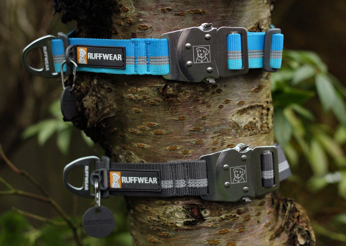 Enviro-Dogs tweet media