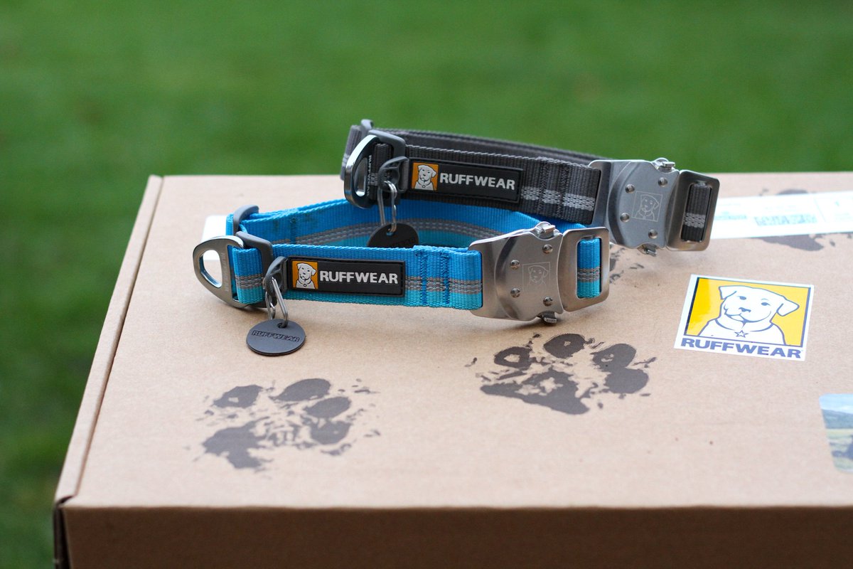 Enviro-Dogs tweet media