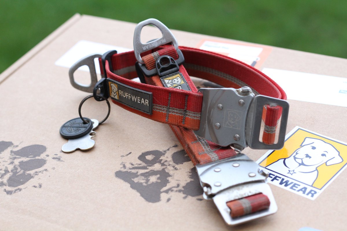 Enviro-Dogs tweet media