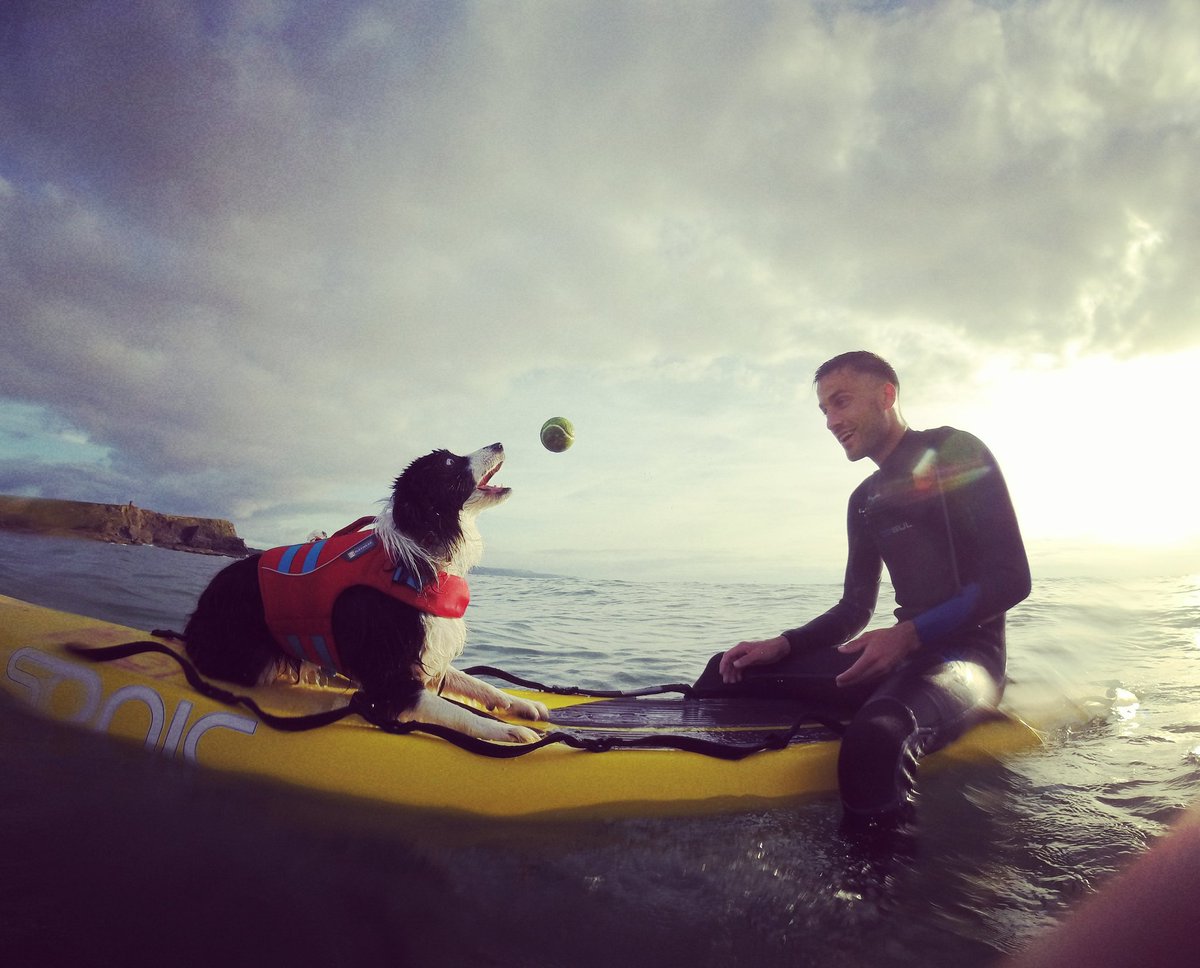 Enviro-Dogs tweet media