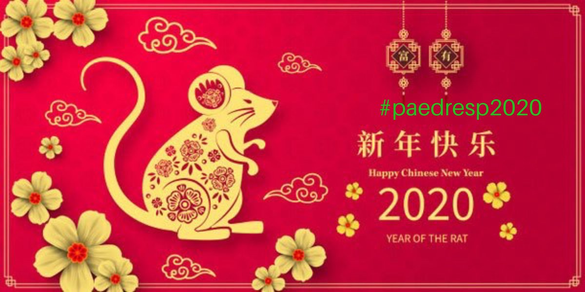 LondonPaedResp's tweet image. #HappyChineseNewYear2020  #paedresp2020