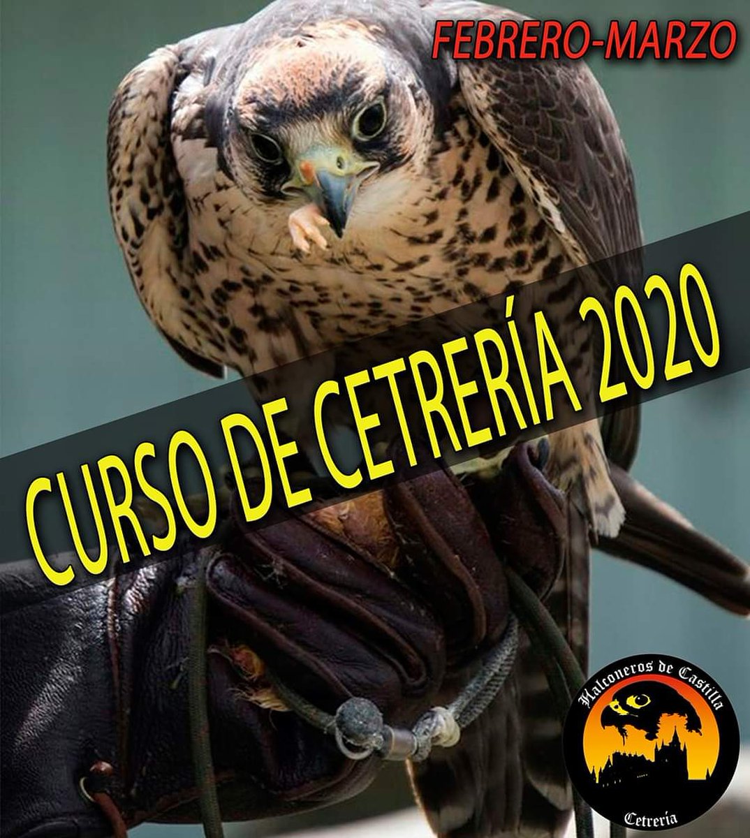 Nuevo Curso de Cetrería - Halconeros de Castilla 2020
 Aprende los secretos del bajo vuelo y la altanería y vuela aves rapaces a tu puño desde el primer día.
 Dias 29 de Febrero y 1 de Marzo de 2020
 Información e inscripciones en nuestra web:
 halconerosdecastilla.com