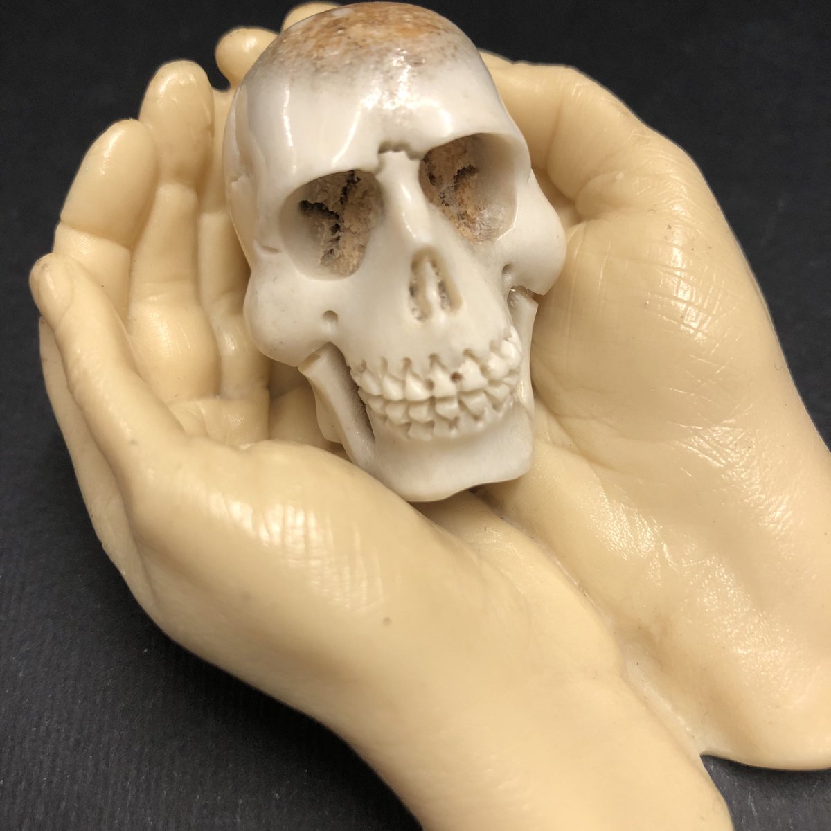 LisaMarieFranks's tweet photo. 🌟 Happy Saturday From Melksham Arcade! 🌟 A Miniature Skull Made From Antler. Super Detail. £45. 🌟
#miniatures #antler #skull #skulls #miniskull #bones #macabre #taxidermy #anthropology #skullart #palaeontology #osteology #boneart https://t.co/tFH8buaQSb