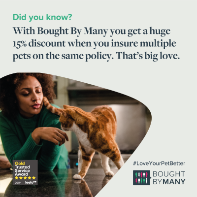 manypets_uk's tweet photo. Did you know about our massive #multipet discount? #LoveYourPetBetter πΎ https://t.co/Kp4wgKCXSs